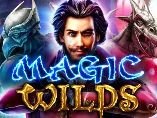 Magic Wilds game cover